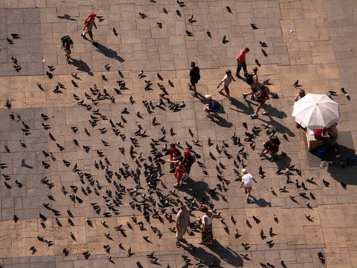 spis.php?category_id=133