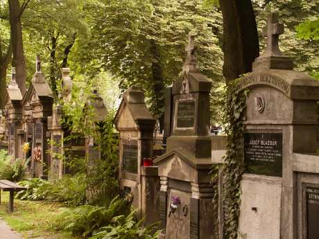 spis.php?category_id=115