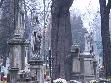 spis.php?category_id=115