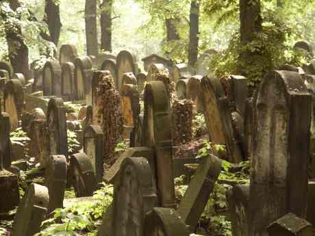 spis.php?category_id=117