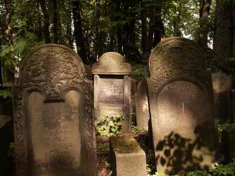 spis.php?category_id=117