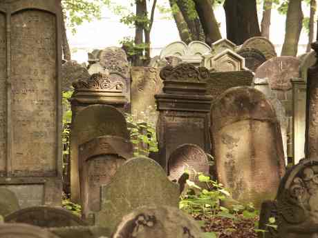 spis.php?category_id=117