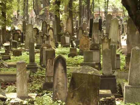 spis.php?category_id=117