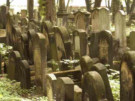 spis.php?category_id=117