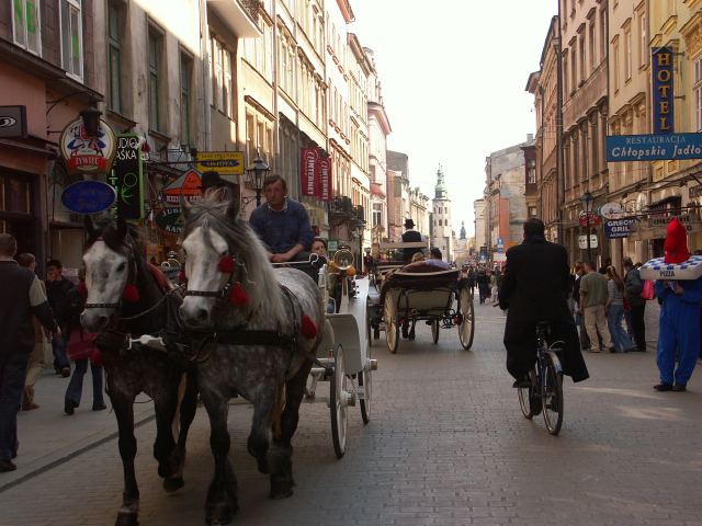 spis.php?category_id=135