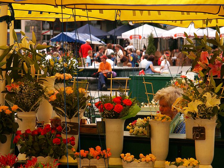 spis.php?category_id=140