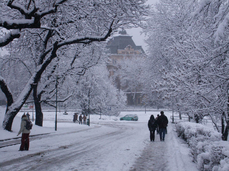 spis.php?category_id=161