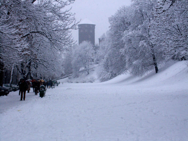 spis.php?category_id=161