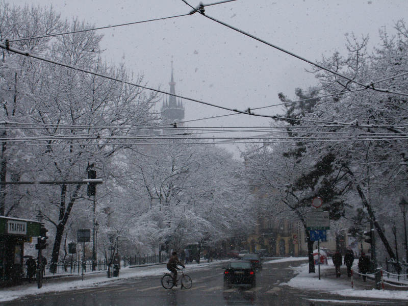 spis.php?category_id=161