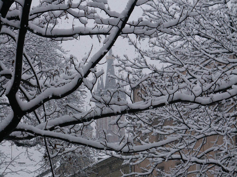 spis.php?category_id=161