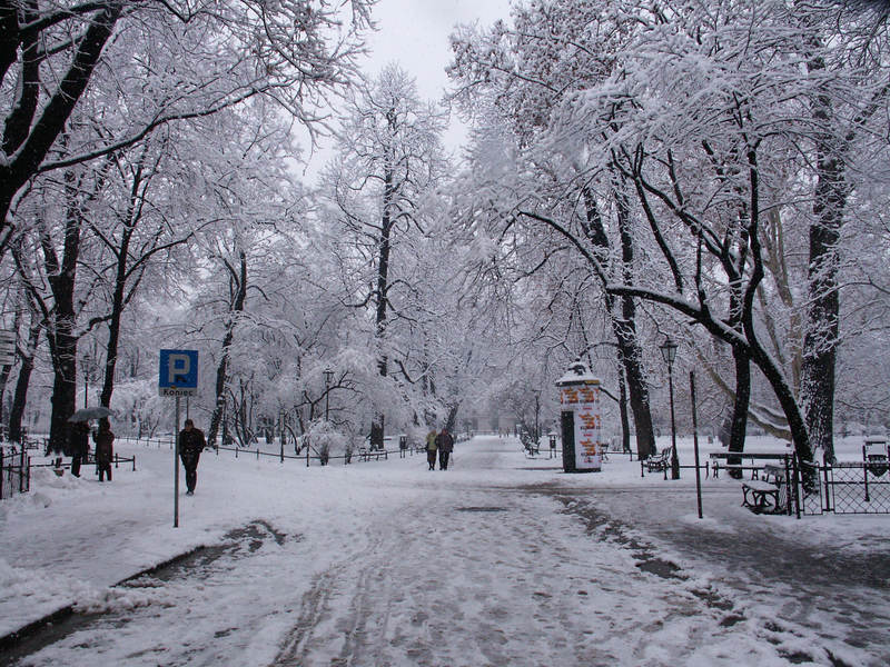 spis.php?category_id=161