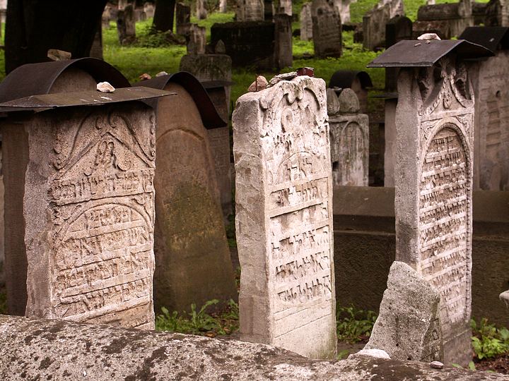 spis.php?category_id=169