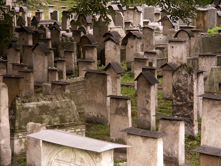 spis.php?category_id=169