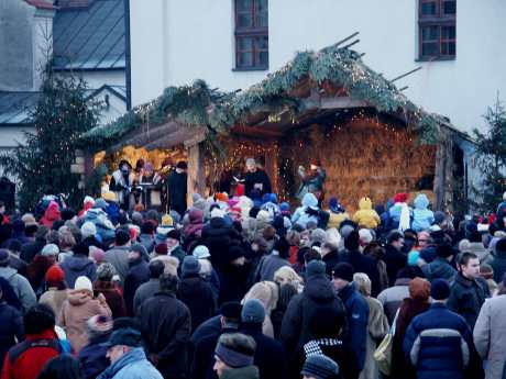 spis.php?category_id=173