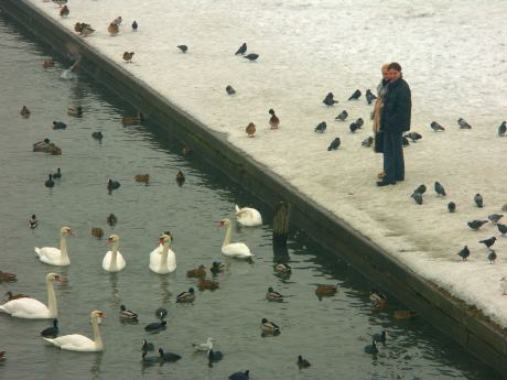 spis.php?category_id=175