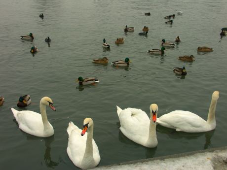 spis.php?category_id=175