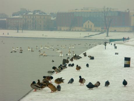 spis.php?category_id=175