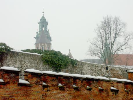 spis.php?category_id=175