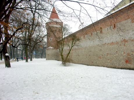 spis.php?category_id=175