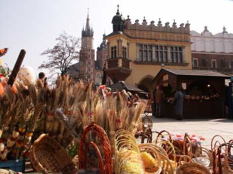 spis.php?category_id=176