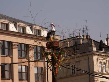 spis.php?category_id=176