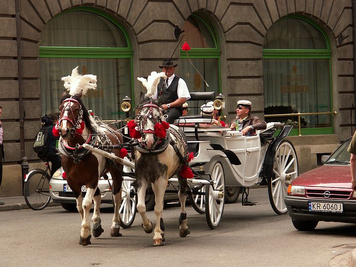 spis.php?category_id=177