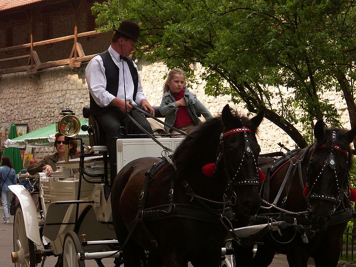 spis.php?category_id=177