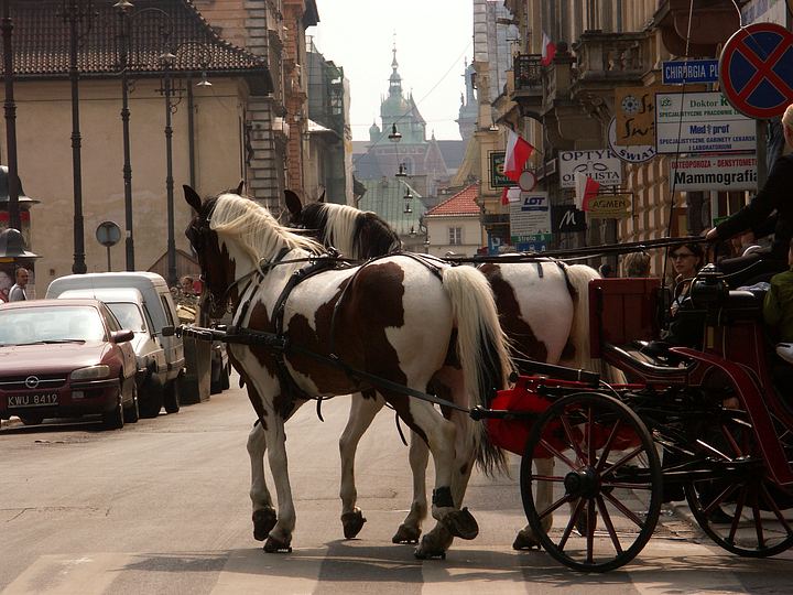 spis.php?category_id=177