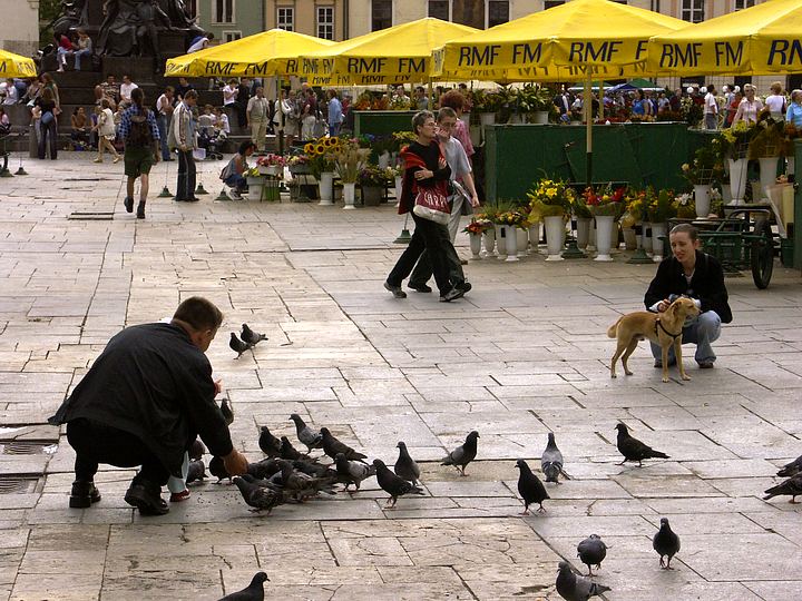 spis.php?category_id=143