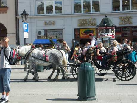 spis.php?category_id=183