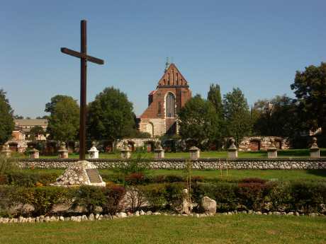 spis.php?category_id=183