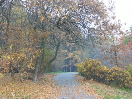 spis.php?category_id=185