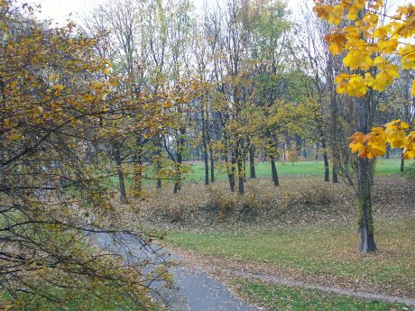 spis.php?category_id=185