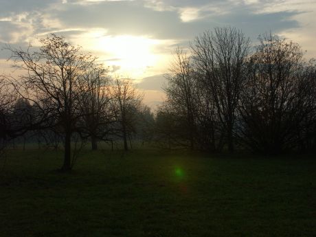 spis.php?category_id=185