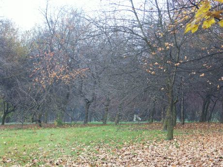 spis.php?category_id=185