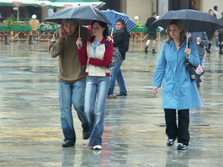 spis.php?category_id=191