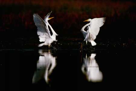 spis.php?category_id=192