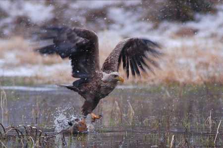 spis.php?category_id=192