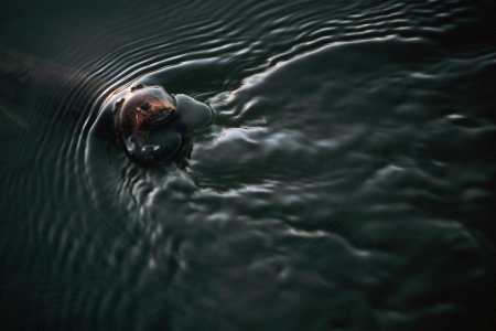 spis.php?category_id=192