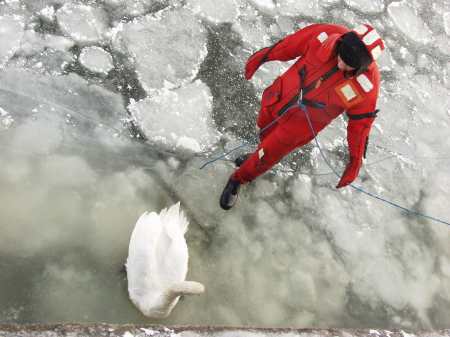 spis.php?category_id=192