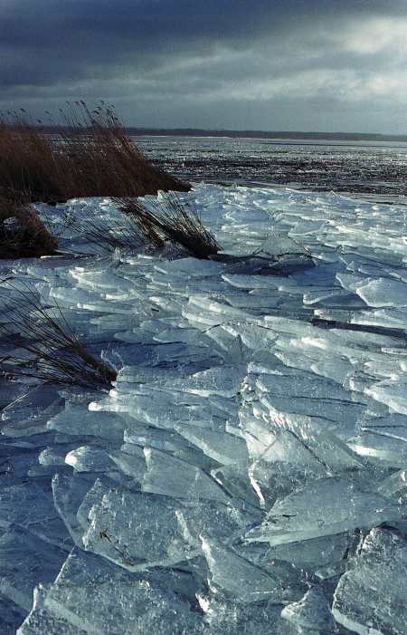 spis.php?category_id=192