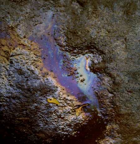 spis.php?category_id=192