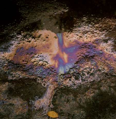 spis.php?category_id=192