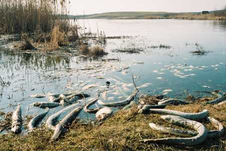 spis.php?category_id=192