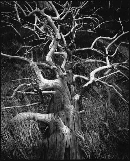 spis.php?category_id=192