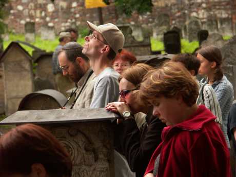 spis.php?category_id=194