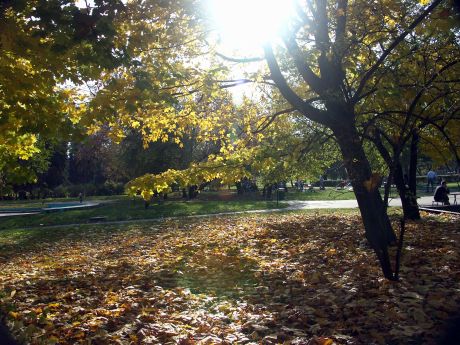 spis.php?category_id=196