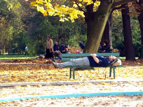 spis.php?category_id=196