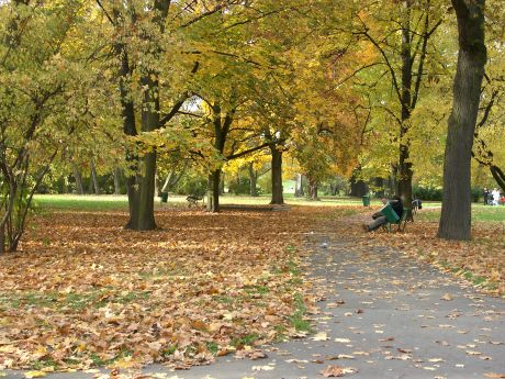 spis.php?category_id=196