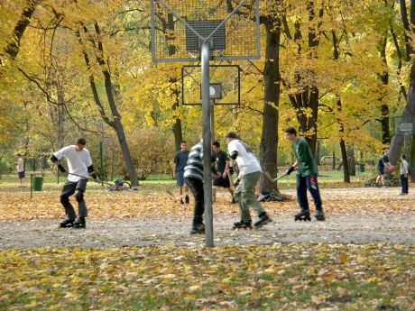 spis.php?category_id=196